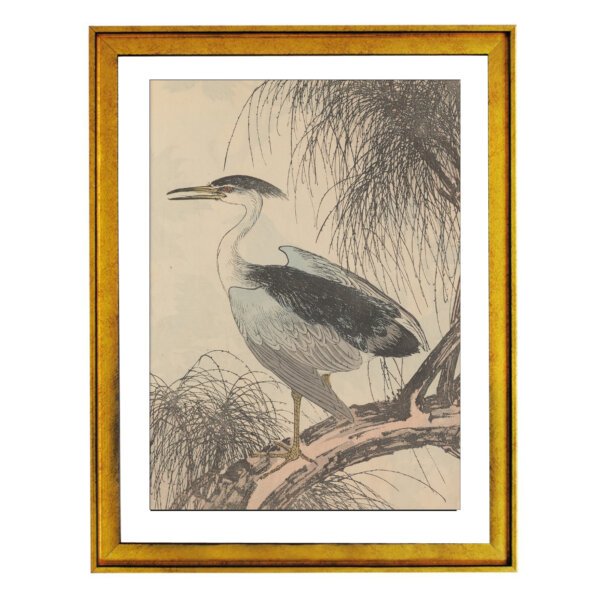 Grey Heron