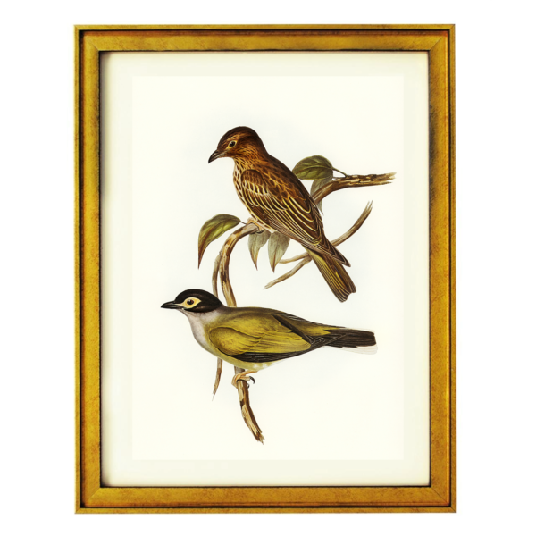 Two Birds on a Branch