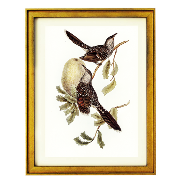Twin Songbirds